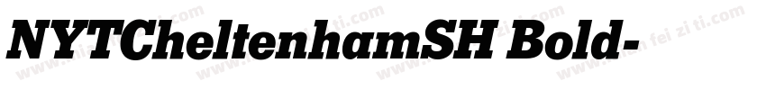 NYTCheltenhamSH Bold字体转换